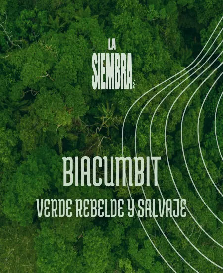 Biacumbit primer sencillo del álbum. 
