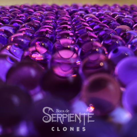 Background para 
<span>Clones</span>

