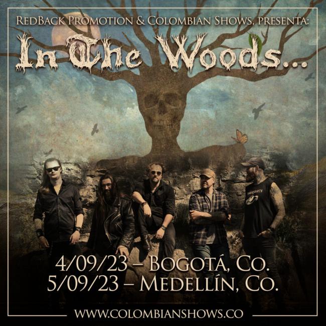 Flayer evento IN THE WOODS en Medellín